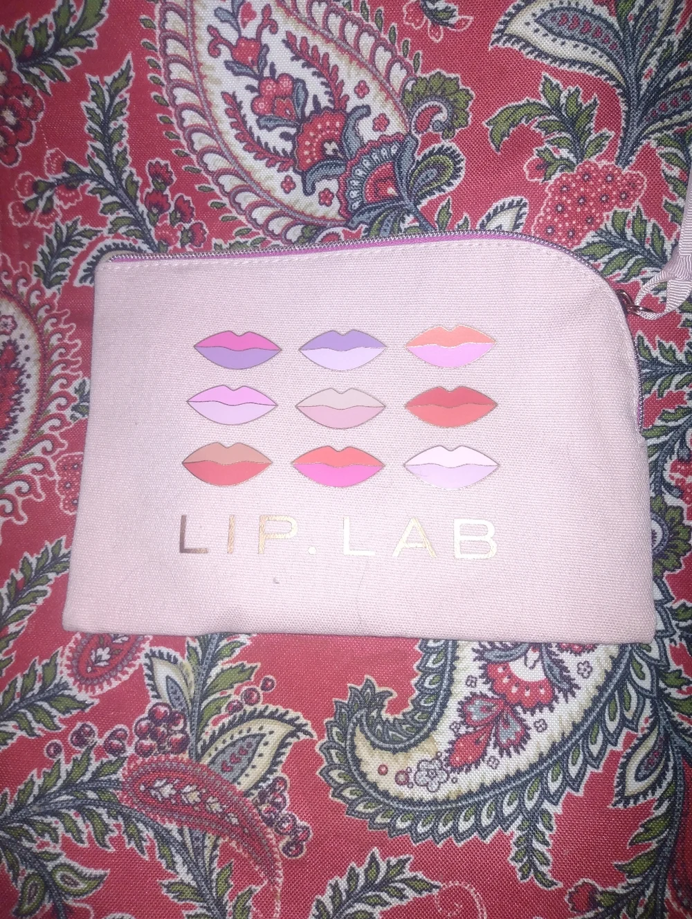 Ipsy Pink Cosmetic Pouch - Women's Makeup Bag